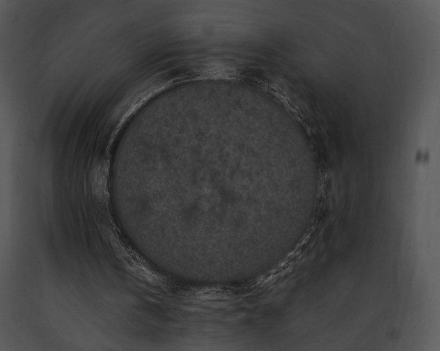 X0000091650146200708301425