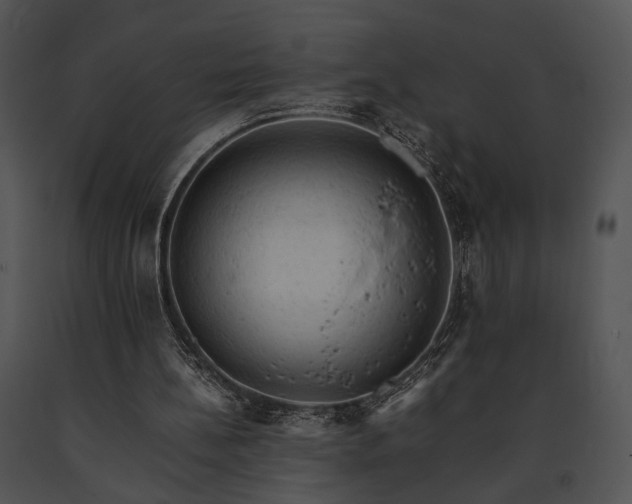 X0000091650148200708301425