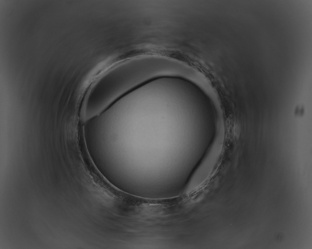 X0000091650150200708301425