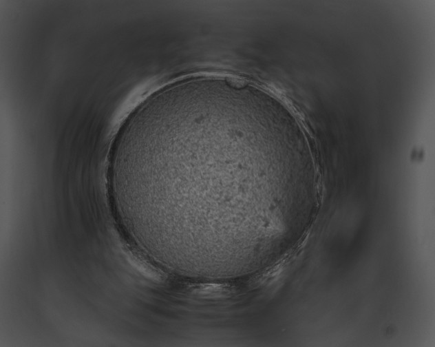 X0000091650151200708301425