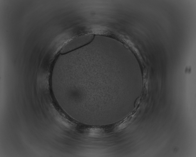 X0000091650154200708301425