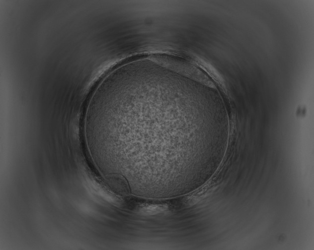 X0000091650155200708301425