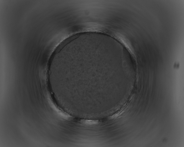 X0000091650156200708301425