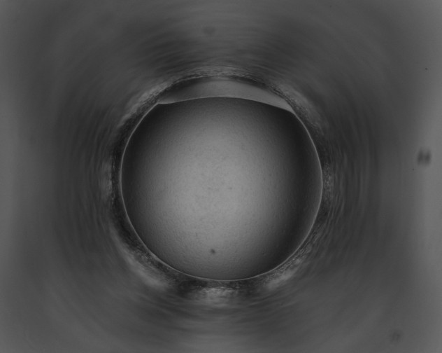 X0000091650158200708301425