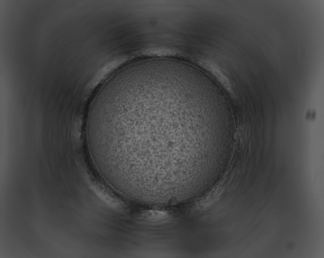 X0000091650159200708301425