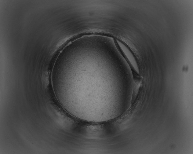 X0000091650160200708301425