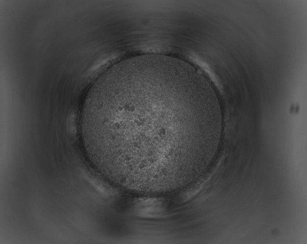 X0000091650161200708301425