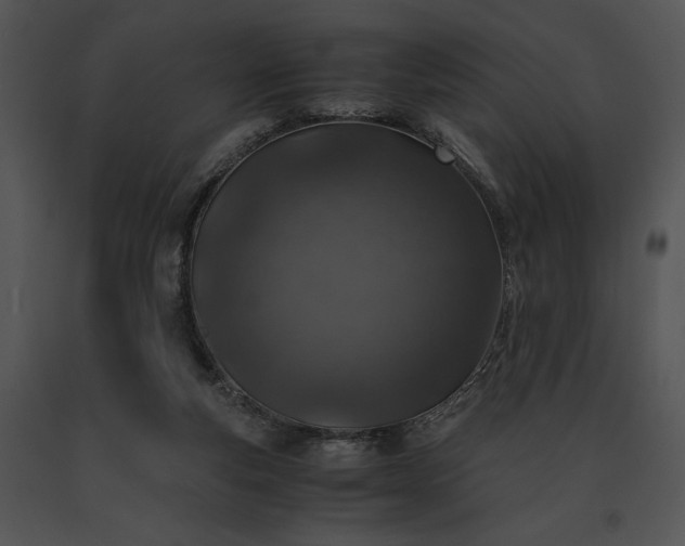 X0000091650163200708301425