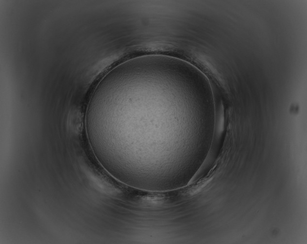 X0000091650164200708301425