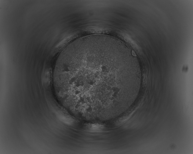 X0000091650165200708301425