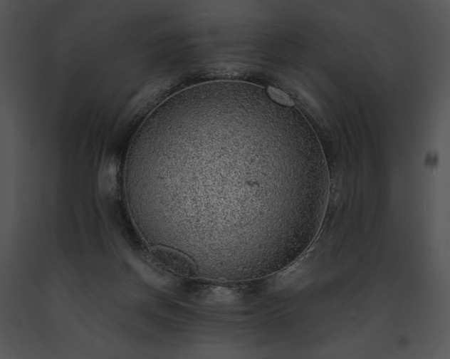 X0000091650166200708301425