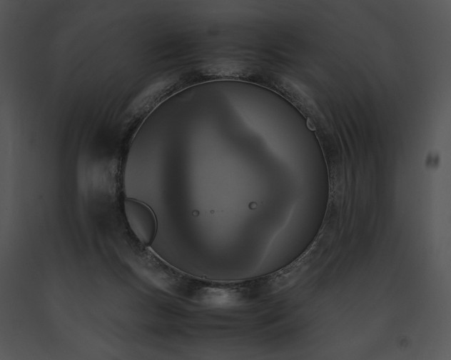 X0000091650167200708301425