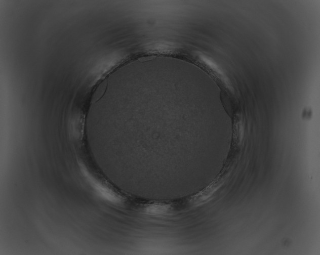 X0000091650168200708301425