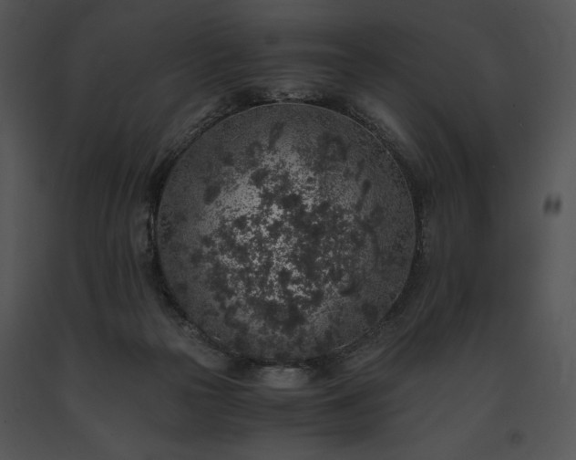 X0000091650169200708301425