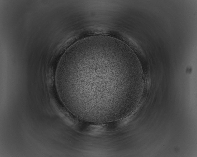 X0000091650170200708301425