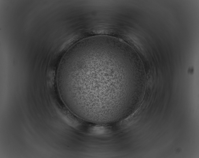 X0000091650171200708301425