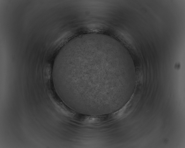 X0000091650174200708301425