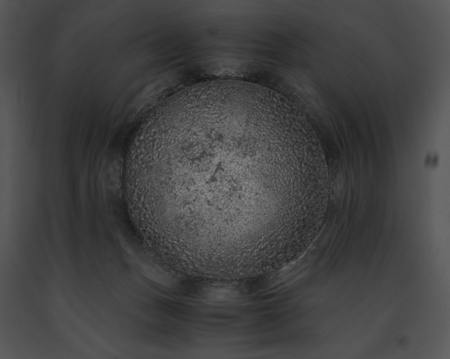 X0000091650175200708301425