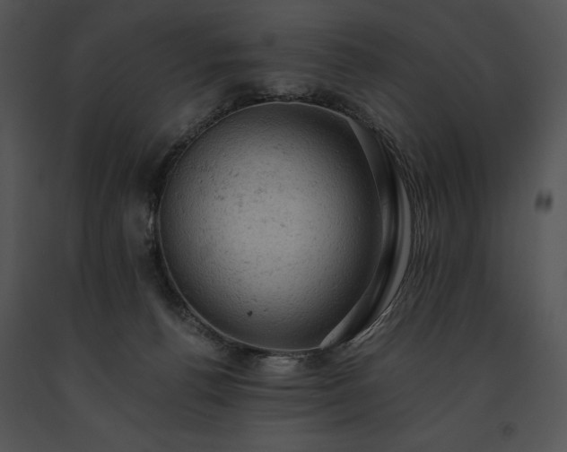 X0000091650176200708301425