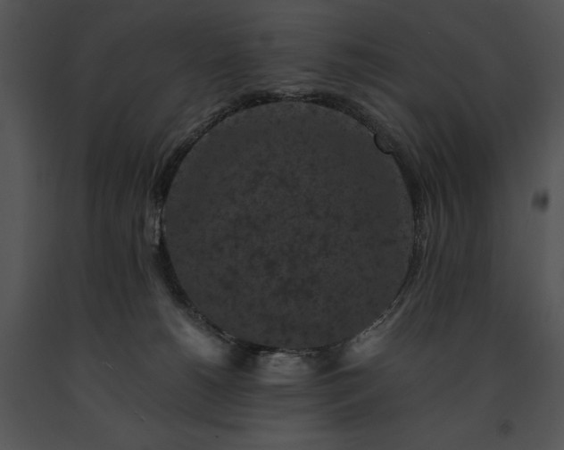 X0000091650180200708301425