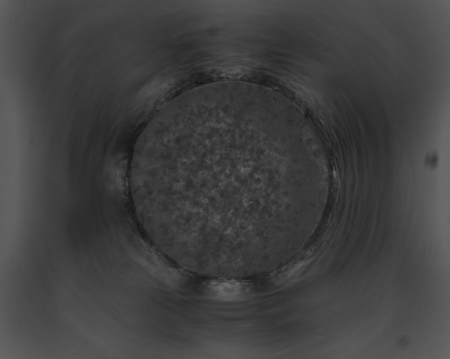 X0000091650181200708301425