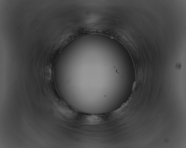 X0000091650183200708301425