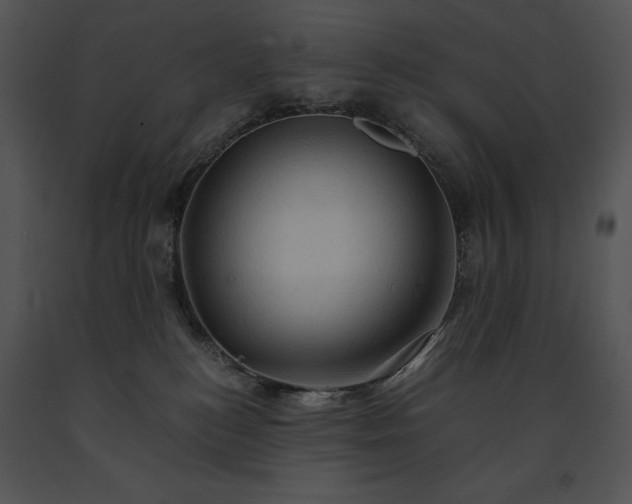 X0000091650184200708301425