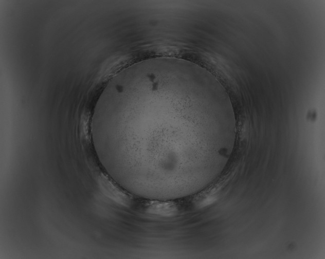 X0000091650185200708301425