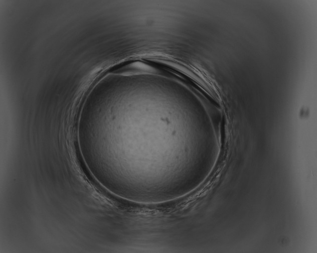 X0000091650193200708301425