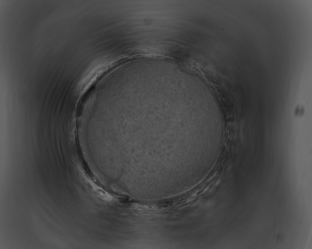 X0000091650194200708301425