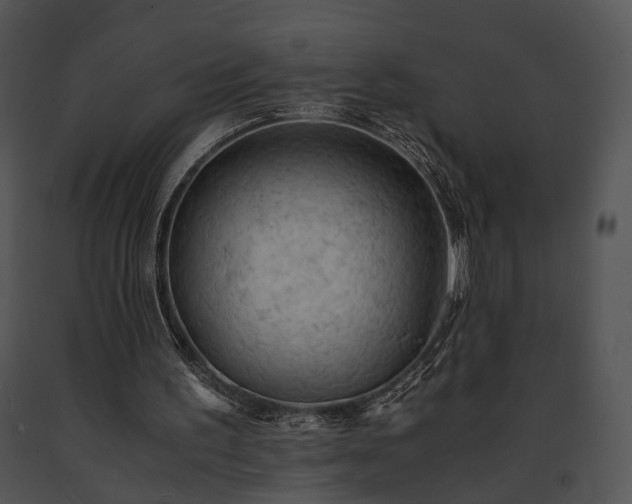 X0000091650195200708301425