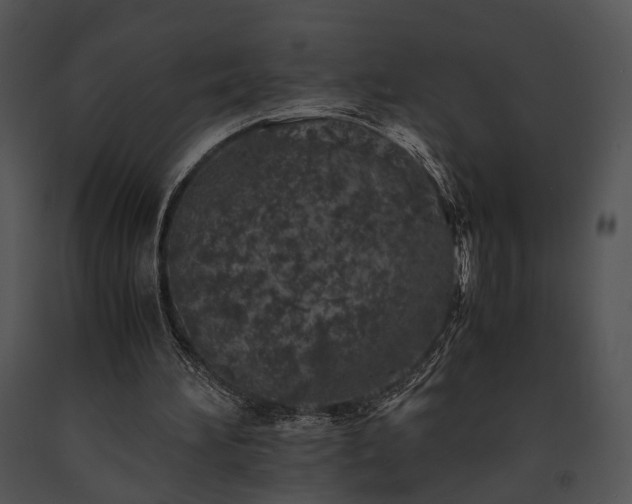 X0000091650196200708301425