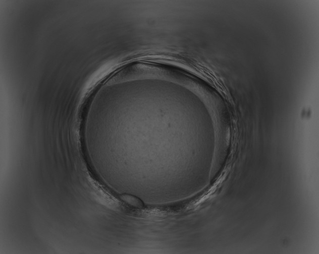 X0000091650197200708301425