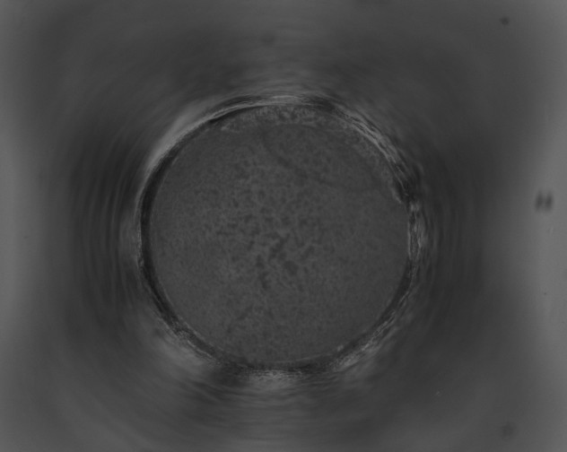 X0000091650198200708301425