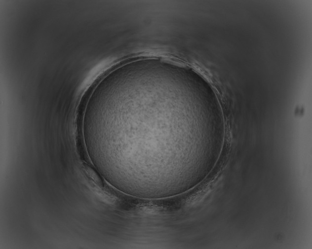 X0000091650199200708301425