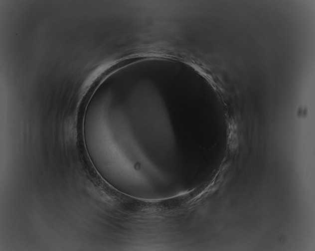 X0000091650200200708301425