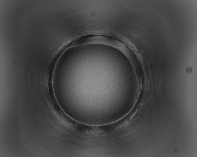 X0000091650201200708301425