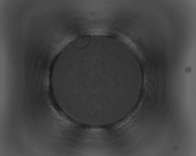 X0000091650202200708301425