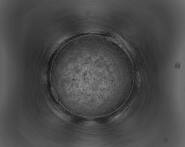 X0000091650203200708301425