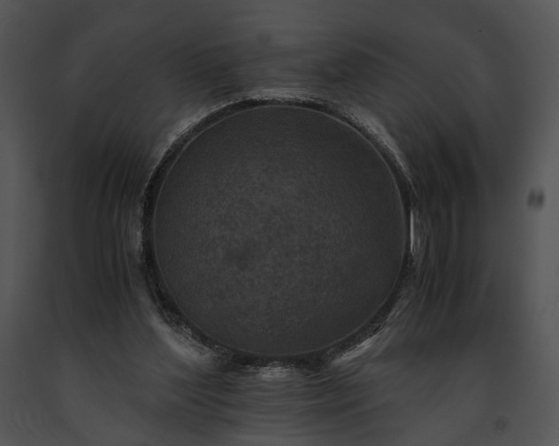 X0000091650204200708301425