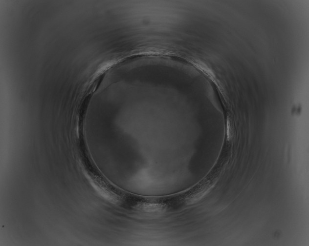 X0000091650205200708301425