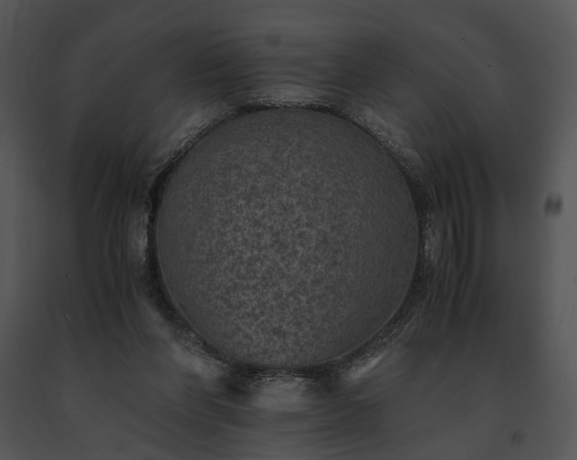 X0000091650206200708301425