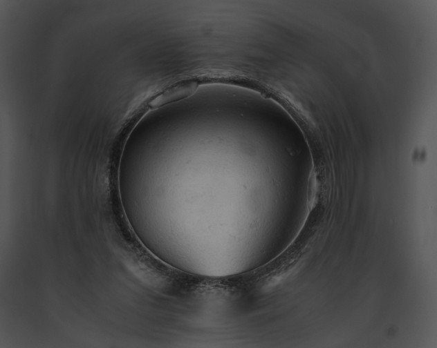 X0000091650207200708301425