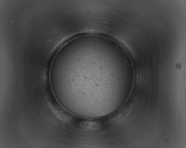 X0000091650208200708301425