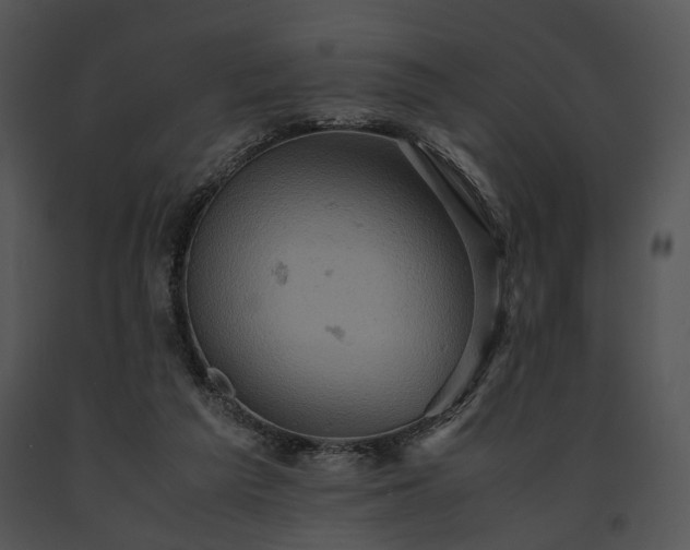 X0000091650209200708301425