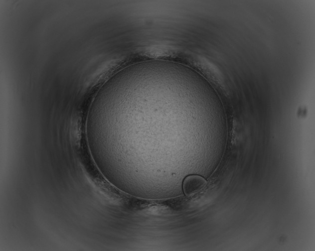 X0000091650210200708301425