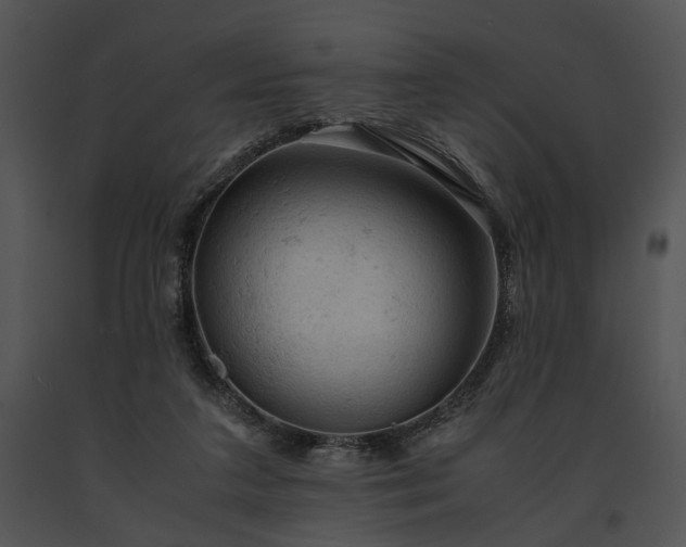 X0000091650211200708301425