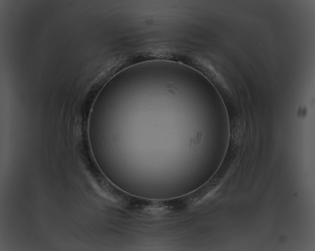 X0000091650213200708301425