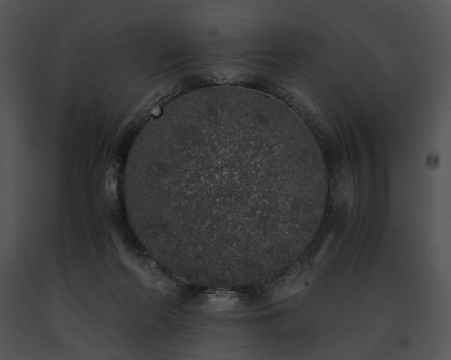 X0000091650214200708301425