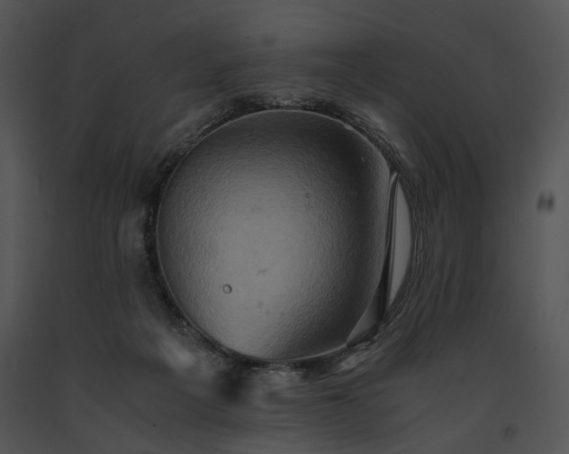 X0000091650217200708301425